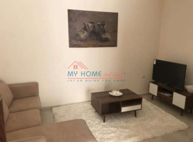 apartament-11-me-qera-te-fresku-tirane-big-1