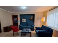 apartament-11-me-qera-qender-tirane-small-1