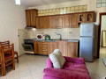 apartament-11-me-qira-tek-pallati-me-shigjeta-small-2