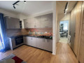 apartament-11-me-qira-tek-xhamia-e-selites-small-4