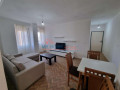 apartament-21post-parkimi-me-qera-tek-ali-demi-small-0