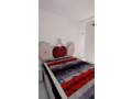 apartament-21-me-qera-rruga-e-dibres-ne-tirane-small-0