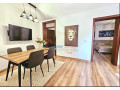 apartament-21-me-qira-qender-small-3