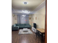 apartament-31-ne-shitje-komuna-e-parisit-ne-tirane-small-3