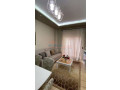 apartament-11-me-qira-tek-selvia-qender-small-0