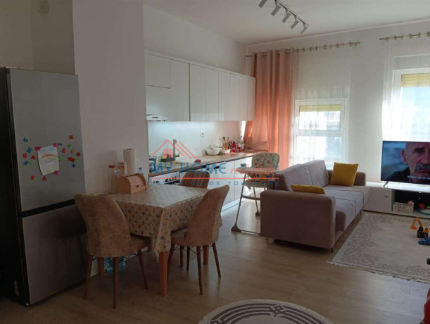 apartament-21-me-qera-ali-demi-big-0