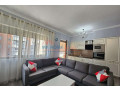 apartament-31-me-qera-tek-delijorgji-small-0