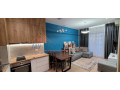 apartament-modern-11-me-qira-21-dhjetori-small-4