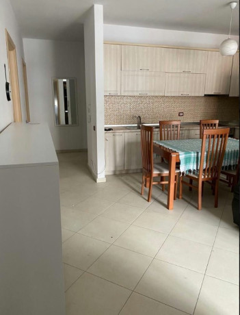 apartament-me-qira-21-ne-pallat-i-ri-zona-astir-unaza-e-re-teodor-keko-big-2